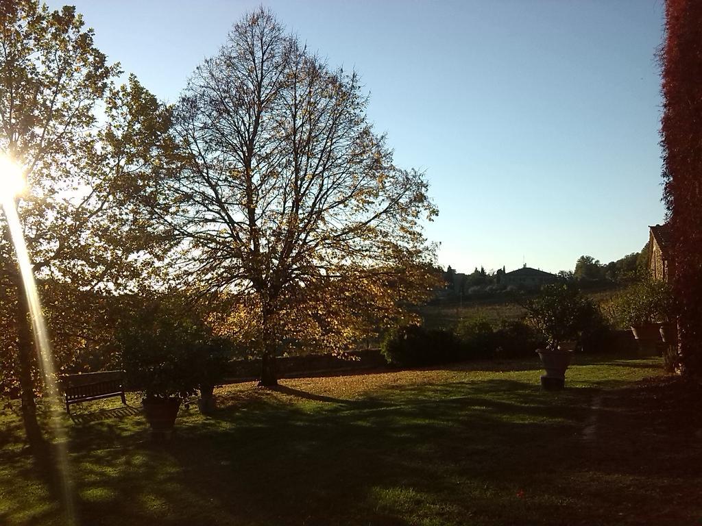 Bauernhof Buoninsegna *